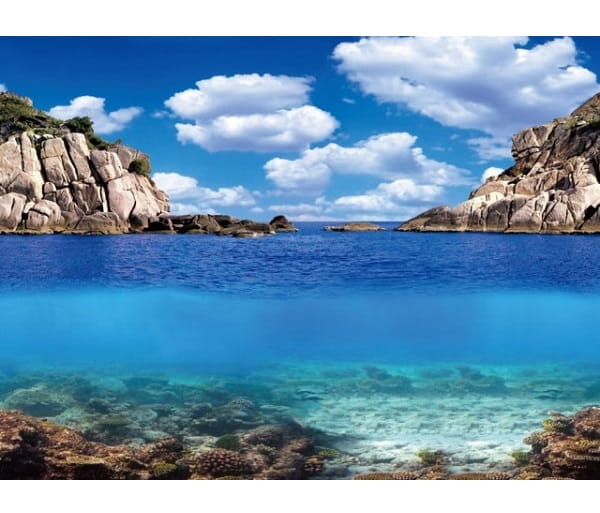 AQUA NOVA tło dwustronne plants/ocean S 60/30cm